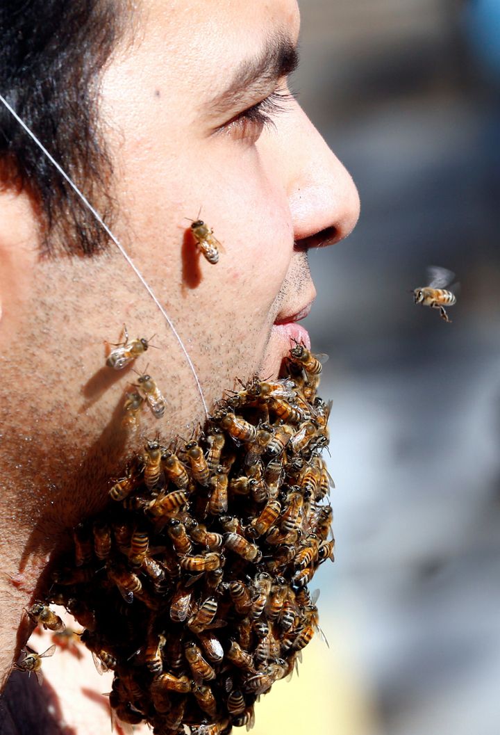 Egyptian Man Has One Honey Of A Bee Beard Huffpost