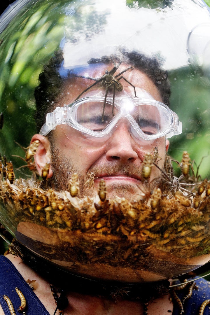 <strong>Adam faced his biggest fear in Fill Your Face</strong>