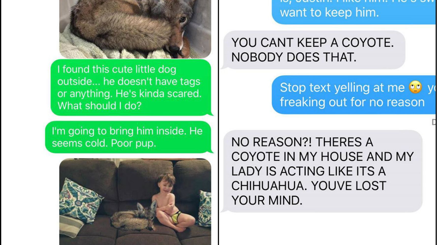 Wife Convinces Husband She Took In A Coyote In Hilarious Prank