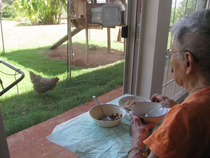 Yasuda enjoys watching the chickens—and family members—come and go as she has her lunch.