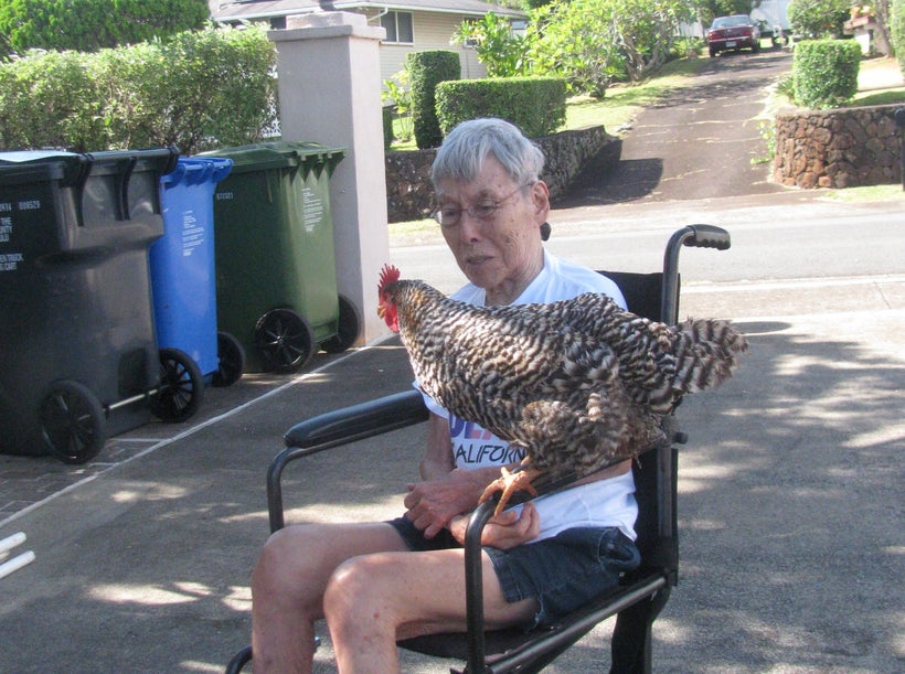 <em>Yasuda welcomes visitors of the feathered kind.</em>