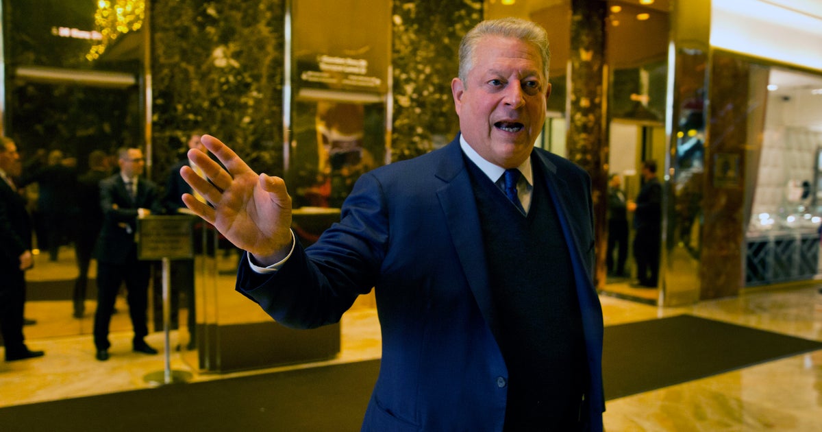 Al Gore: Climate Threat Is Way More Dire Than Donald Trump's Victory ...