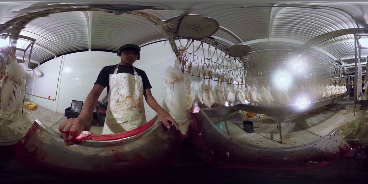 The viewer is given a chilling perspective as cameras are shackled to the slaughterhouse line