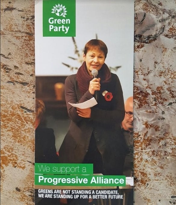 Greens by-election leaflet