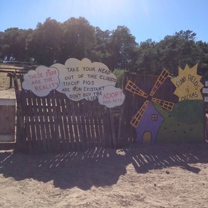 The sign inside the Li’l Orphan Hammies sanctuary.