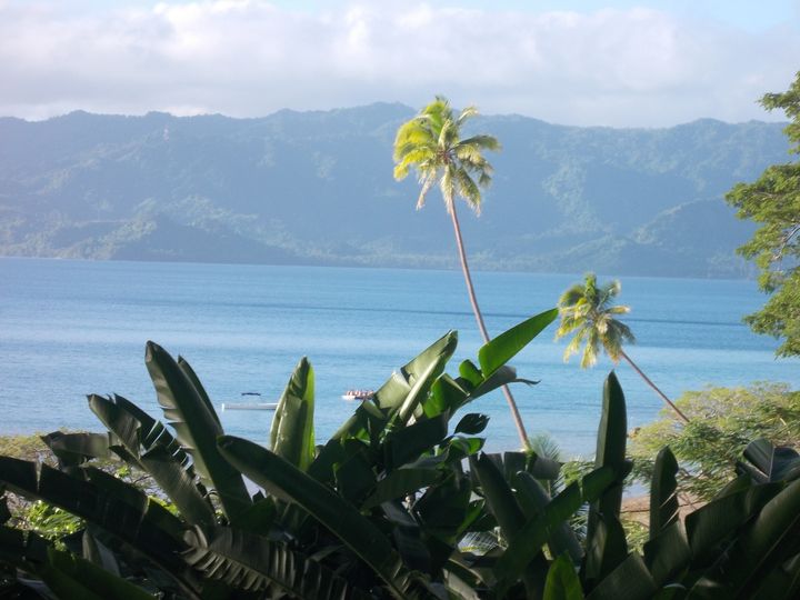 Driveway View in Savusavu, Fiji.