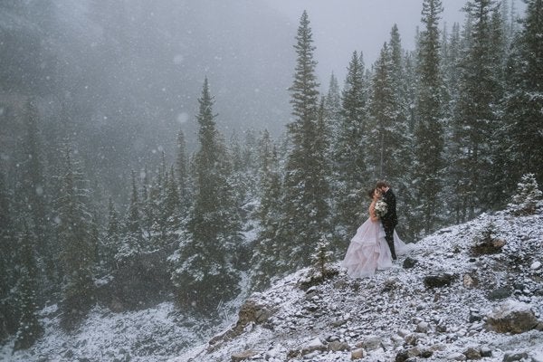 <p>Jack Frost really worked some magic in this photo. Falling snowflakes and a forest of evergreens dusted in snow is a true winter dream.</p>