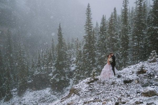 Jack Frost really worked some magic in this photo. Falling snowflakes and a forest of evergreens dusted in snow is a true winter dream.