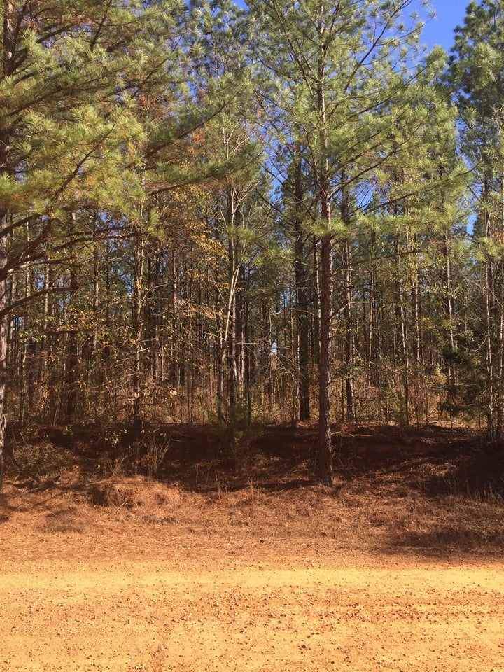 <p>Lessons from a southern rural lifestyle can stick with us many years later.</p>