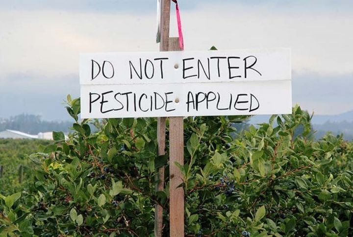  Is our food covered in pesticides?  