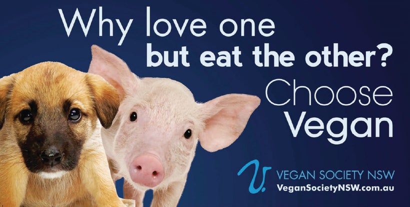 Ad campaign appearing on Sydney buses through December 2016.
