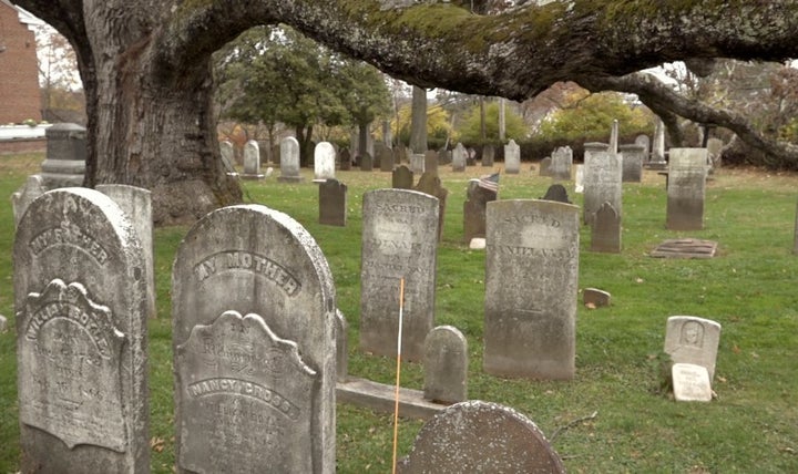 The Life and Times of the Basking Ridge Oak (VIDEO) | HuffPost Contributor