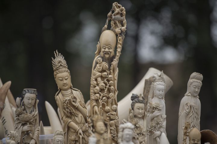 Carved ivory is shown to the media before being destroyed in Beijing in 2015 in an effort to shed the nation's image as a global trading hub for illegal elephant tusks.
