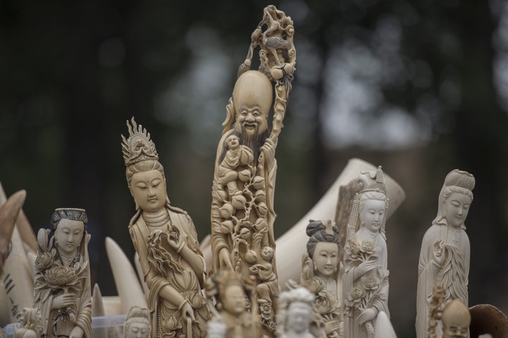 Carved ivory is shown to the media before being destroyed in Beijing in 2015 in an effort to shed the nation's image as a glo