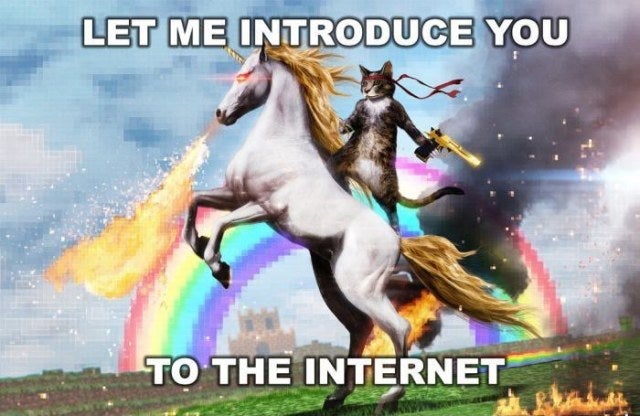 The internet is for...