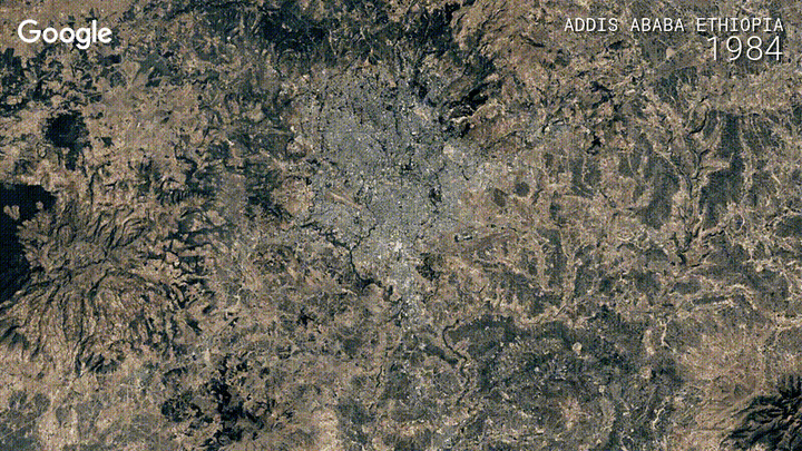Ethiopia has experienced massive deforestation in the past century. According to a 2015 Africa Geographic report, forest cove