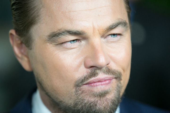 Leonardo DiCaprio apparently pitched Trump on how clean energy can create jobs.