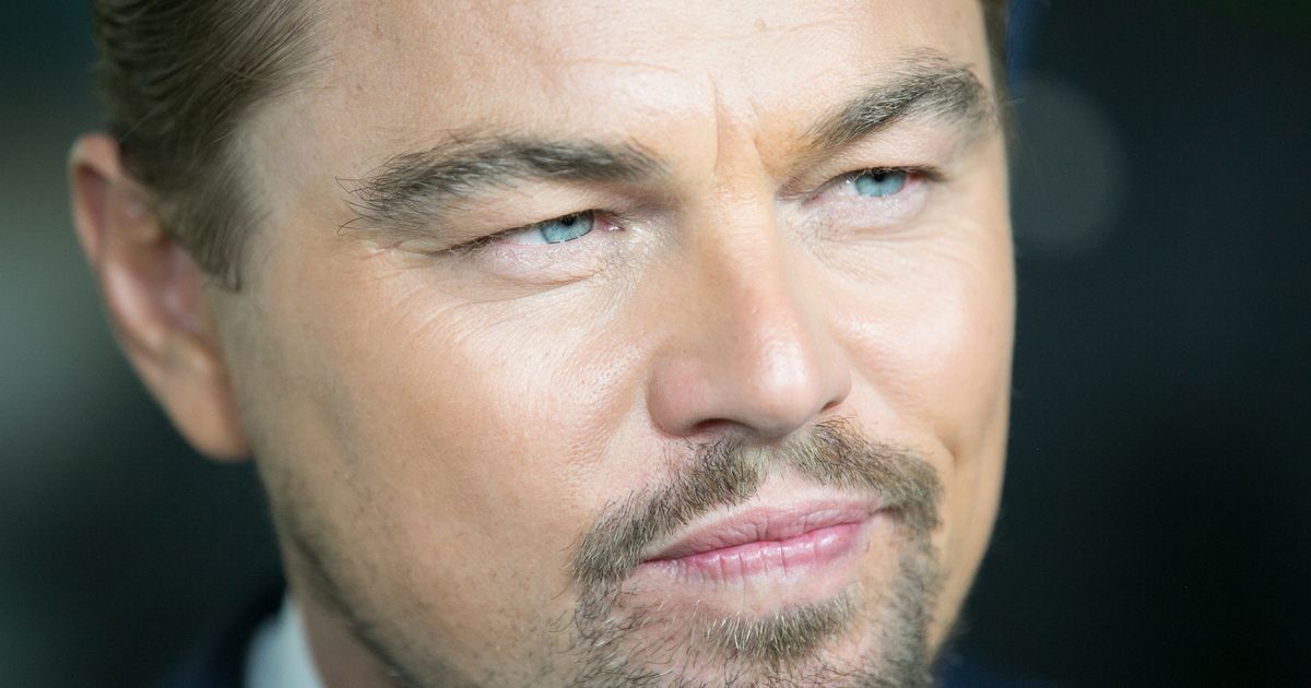 Dicaprio. Леонардо ди Каприо. Джикап. Леонардо ди Каприо злой. Леонардо ди Каприо Вики.