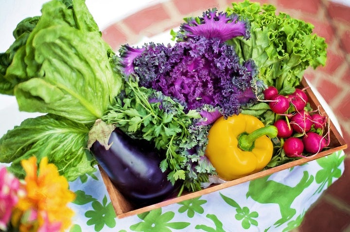 <p>Keep your diet in check to lose weight. </p>
