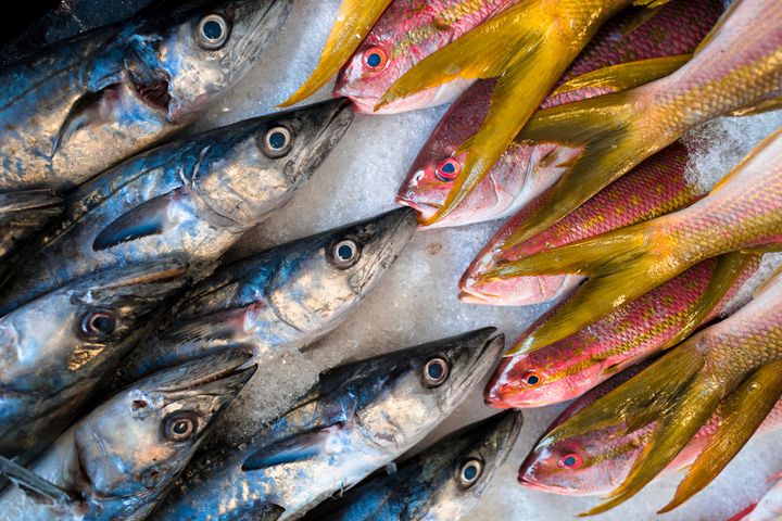 The Seafood Import Monitoring Program is meant to cut down on illegal fishing and mislabeling.