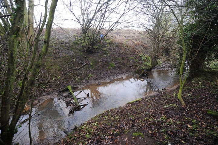 The wooded area near Edlington, South Yorkshire, where the attack took place in April 2009