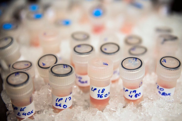 Vials containing biological samples are stored on ice to keep them fresh before being analysed to see how they are affected by chemotherapy drugs at the Cancer Research UK Cambridge Institute on December 9, 2014 in Cambridge, England.