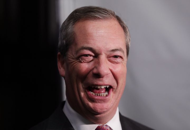 <strong>Farage said he was 'having a great time' since quitting as Ukip leader</strong>
