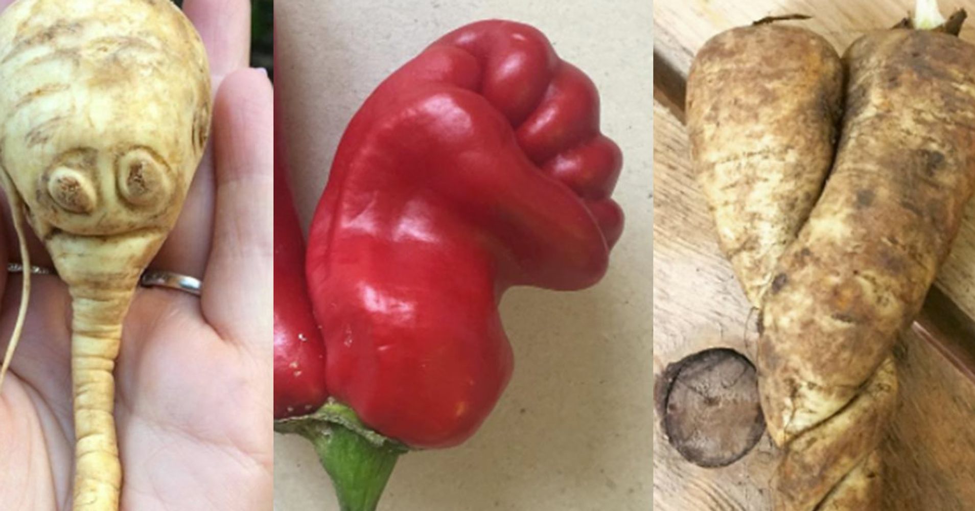 25 Cheeky Photos That Celebrate The Wonders Of 'Ugly' Fruit And