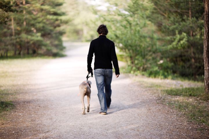 Pets Can Be Life-Changing For People Living With Severe Mental Illness |  HuffPost Life