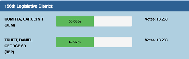 A razor-thin margin in the 156th District triggered an automatic recount. 