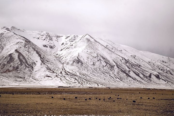 Global warming is rapidly melting glaciers on the Tibetan plateau, a water source for many of the region's rivers, scientific research shows.
