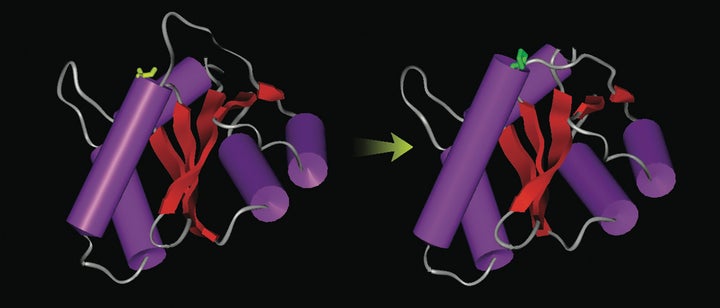 Molecular dynamics simulations, led by J. Andrew McCammon at UCSD, lead to the development of Isentress, an anti-AIDS drug marketed by Merck.