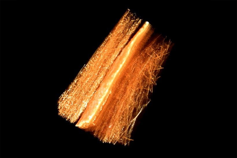 This 3D image taken at Los Alamos National Laboratory by x-ray tomography shows an experimental fuel cell membrane electrode