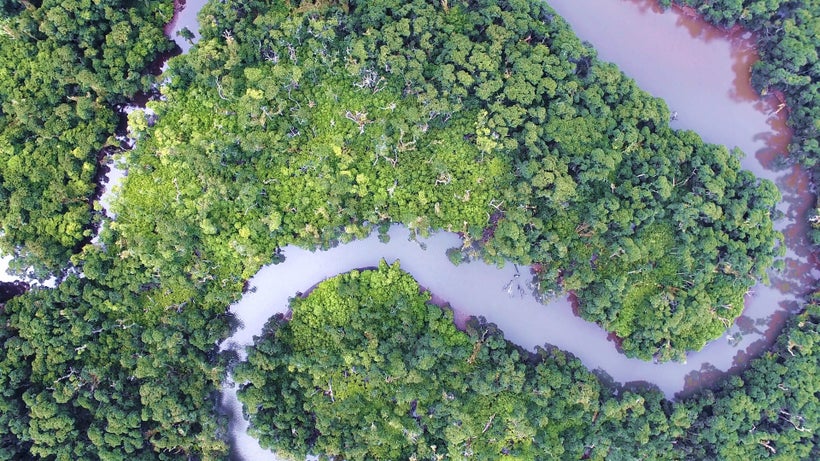 Mangrove areas in Samoa.