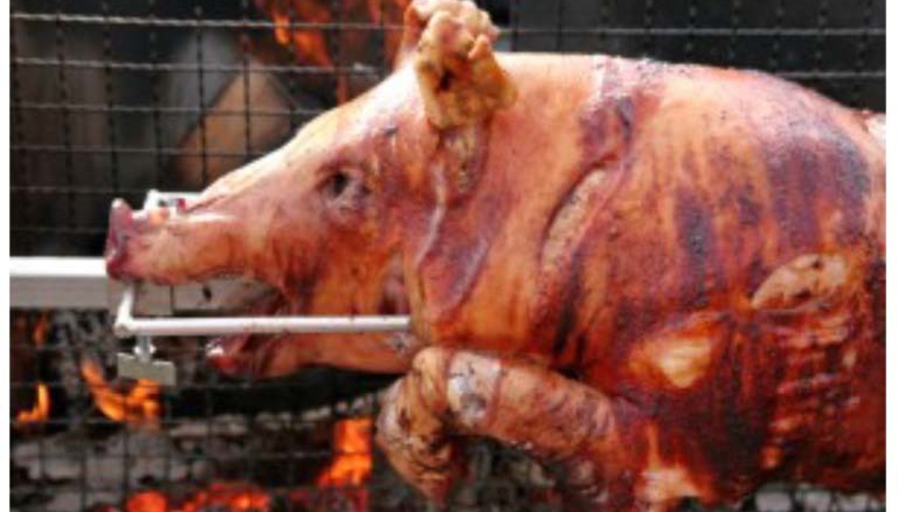 Don’t Believe These Meat Industry LiesPart Two. HuffPost Contributor