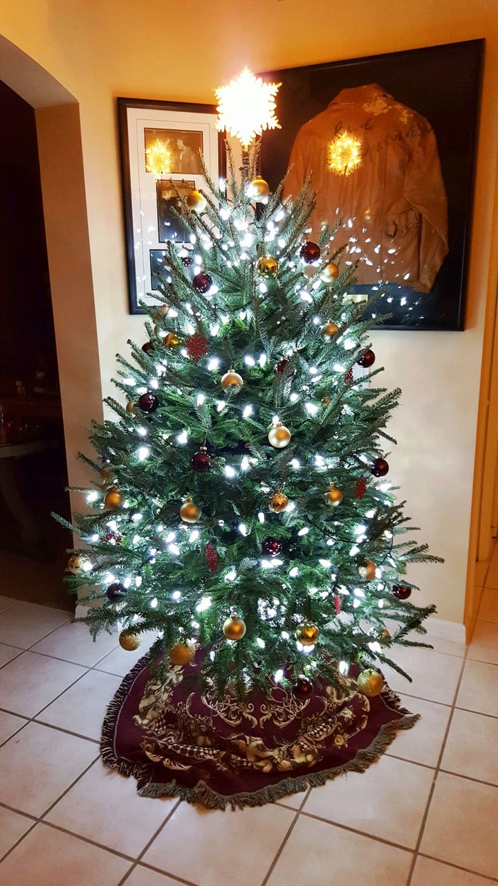 <p>Our kidless Christmas tree...</p>