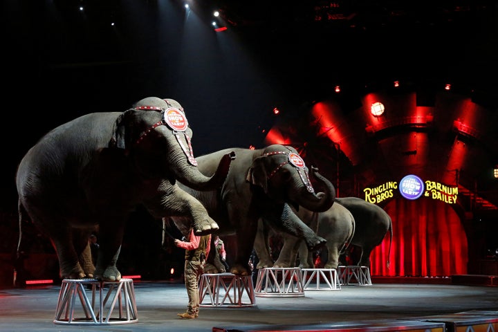 Ringling Bros and Barnum & Bailey Circus' performing elephants appear in their last show in Wilkes-Barre, Pennsylvania, U.S., May 1, 2016.