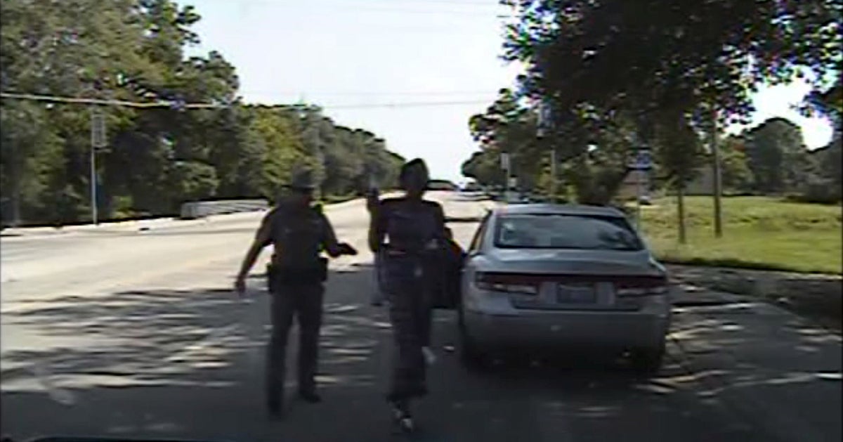 Here's What Cops And Their Supporters Are Saying About The Sandra Bland Arrest Video