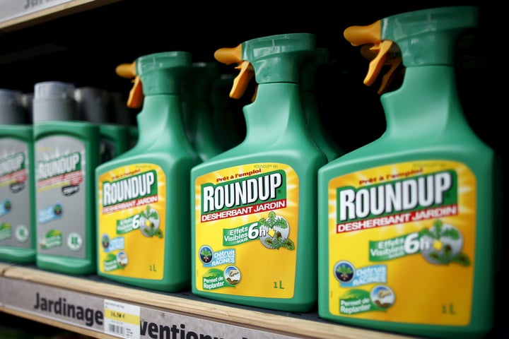 Glyphosate is the active ingredient in Monsanto's Roundup herbicide.