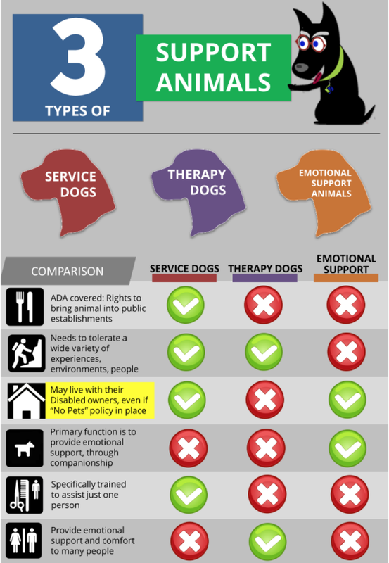 Emotional support sale animal information