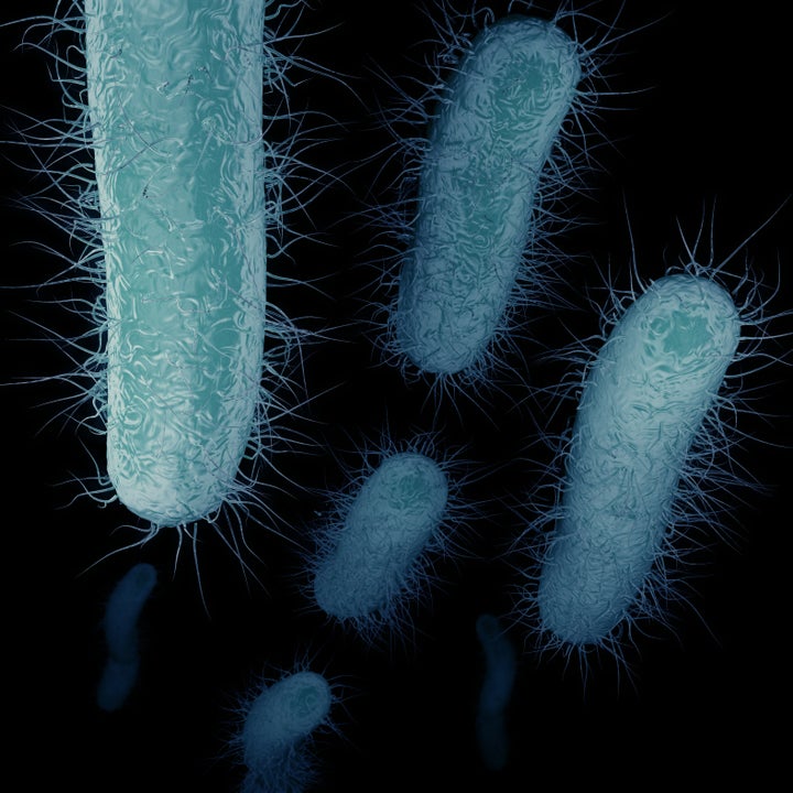 Carbapenem-resistant Enterobacteriaceae is a family of antibiotic-resistant bacteria that has been mostly limited to people in health care facilities until now. 