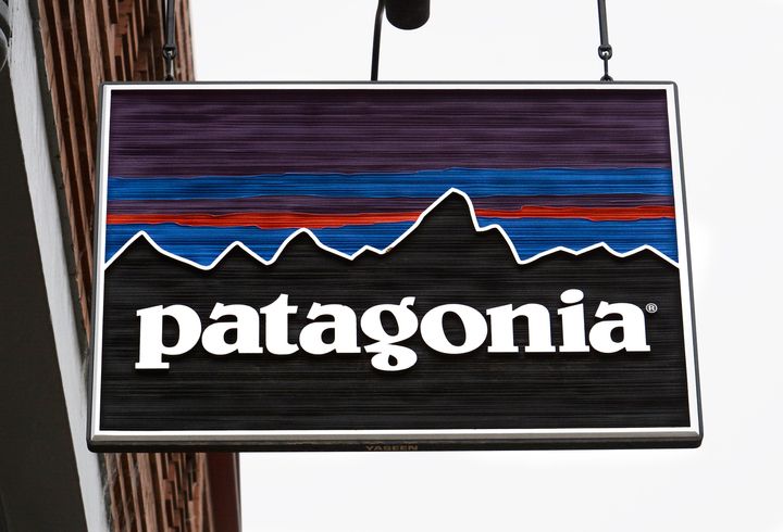 Patagonia pledged to donate its Black Friday sales to environmental groups.
