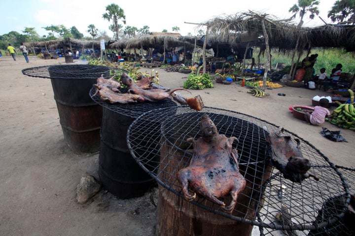 Dried bushmeat is displayed near a road of the Yamoussoukro highway March 29, 2014. Bushmeat - from bats to antelopes, squirrels, porcupines and monkeys - has long held pride of place on family menus in West and Central Africa, whether stewed, smoked or roasted. Experts who have studied the Ebola virus from its discovery in 1976 in Democratic Republic of Congo, then Zaire, say its suspected origin - what they call the reservoir host - is forest bats. Links have also been made to the carcasses of freshly slaughtered animals consumed as bushmeat.