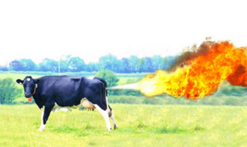 <a rel="nofollow" href="https://commons.wikimedia.org/wiki/File%3ACow-fart.png" target="_blank">Cow Farting</a>