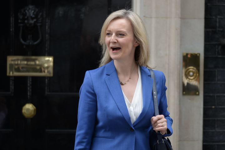 <strong>The scheme has the backing of Justice Secretary Liz Truss </strong>