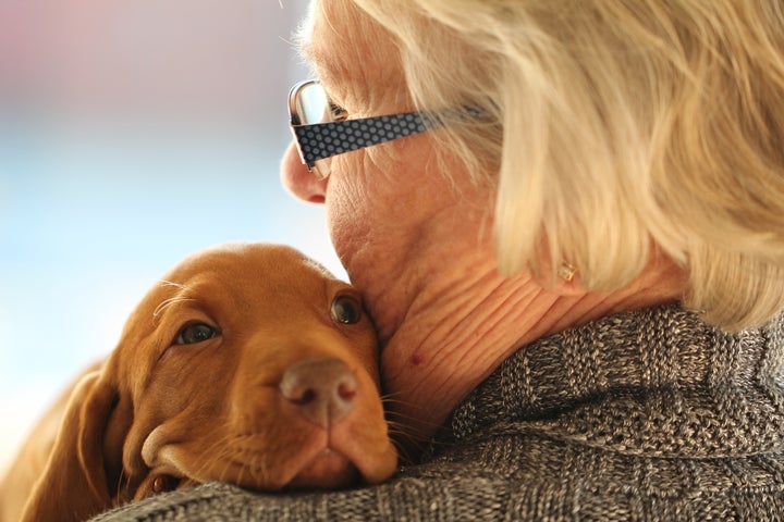 <p><em>animals can help combat the isolation that often accompanies depression</em></p>