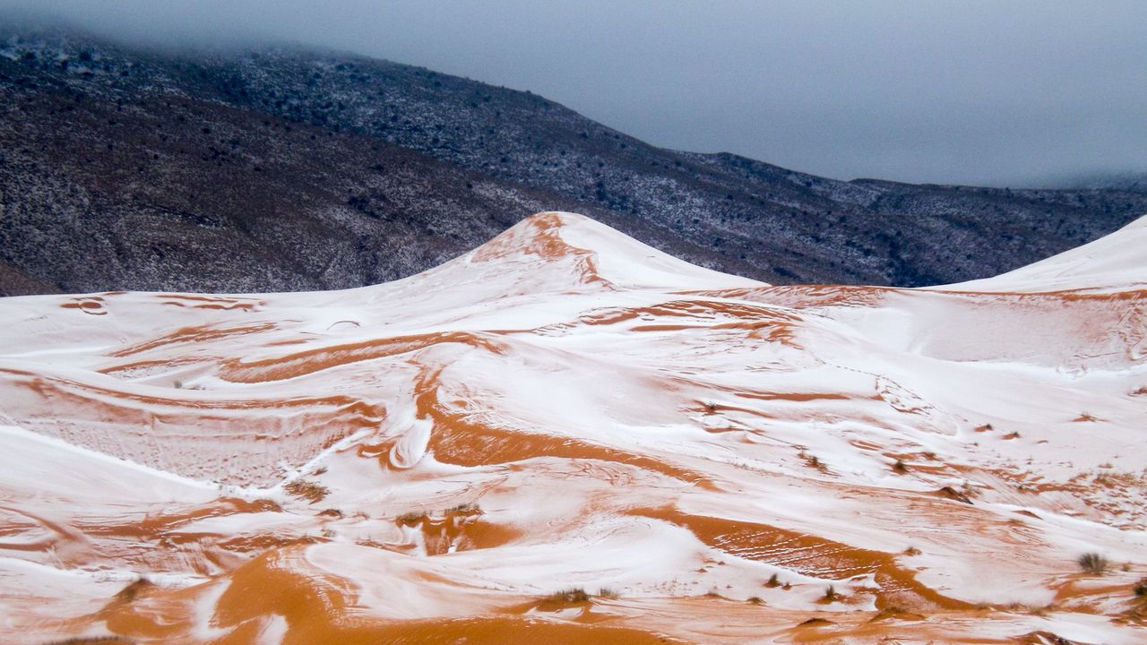 Snow has fallen on the famous red dunes of the Sahara desert for the first time in 37 years 
