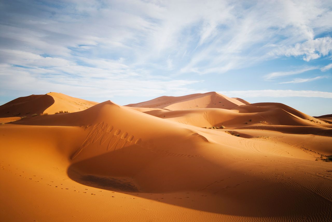 The Sahara desert reaches temperatures of up to 122 degrees Farenheit (50 degrees Celsius)