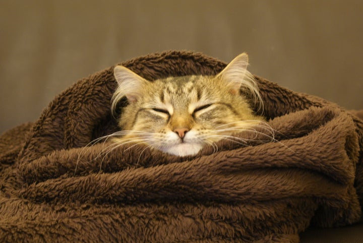 So warm. So cosy.