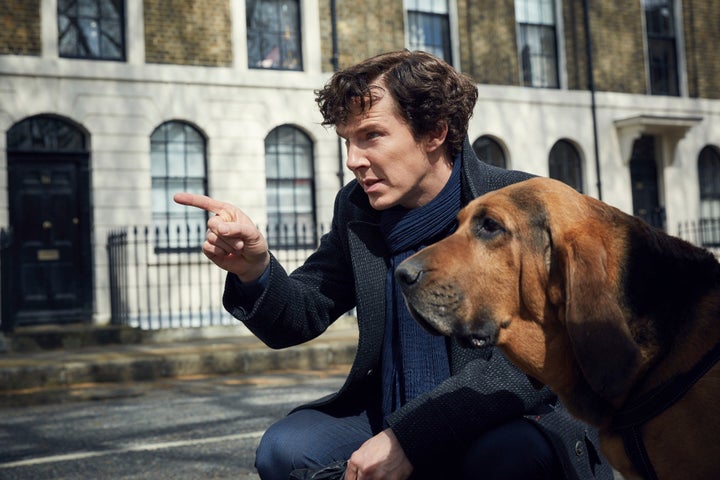 Sherlock has a new friend